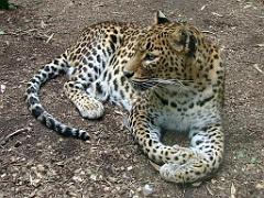 149 BIO PARC DE DOUE LA FONTAINE 3- 2016_000007
